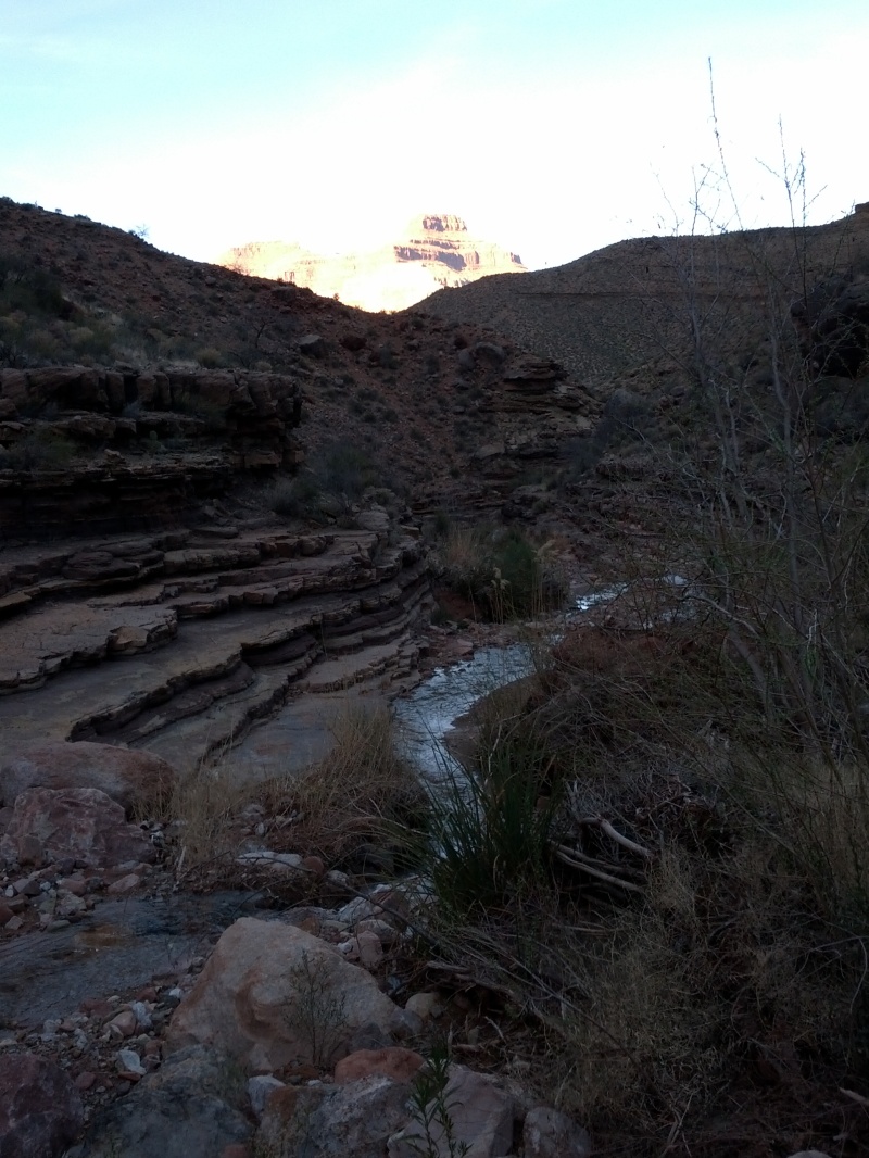 IMG_20130314_165701.jpg